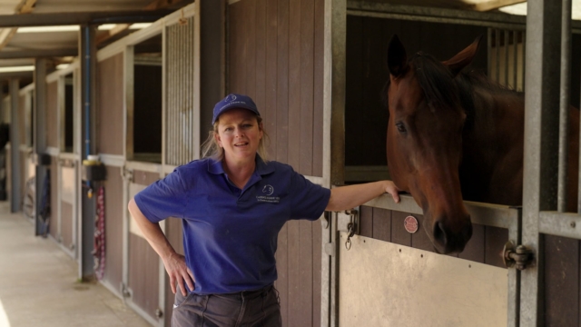 Small Business Hero Video | Cadence Equine Vets